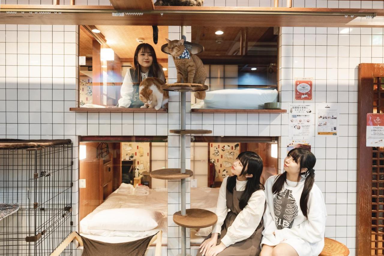 Hostel Cat & Cat By Neco Republic