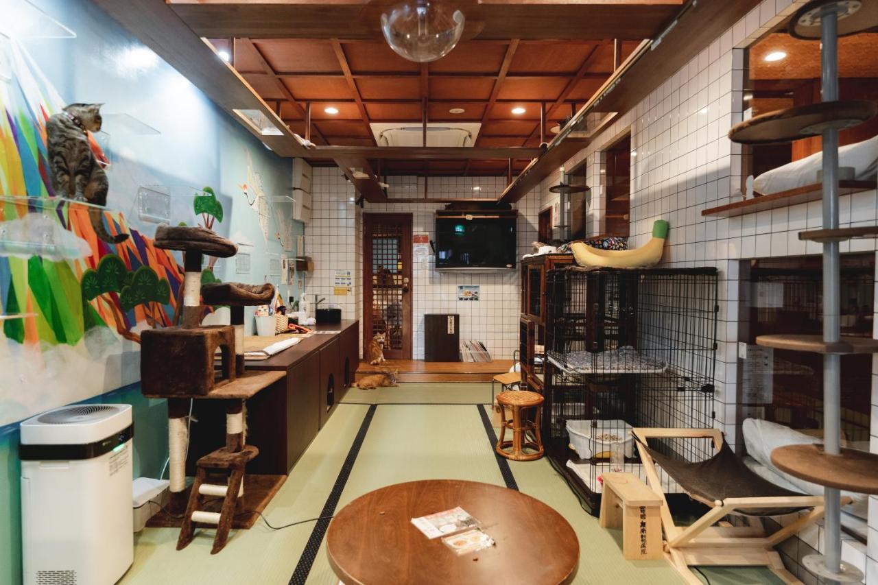 Hostel Cat & Cat By Neco Republic Osaka