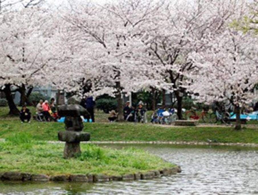Senju Big Tatami House Max 16ppl Direct To Kix Airport *
