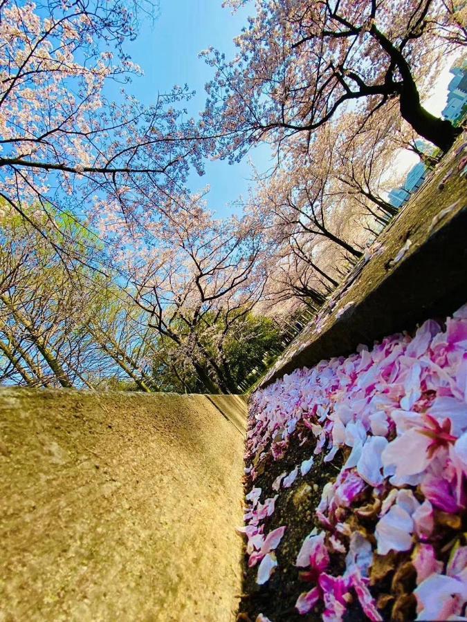 Sakuranomiya Guest house