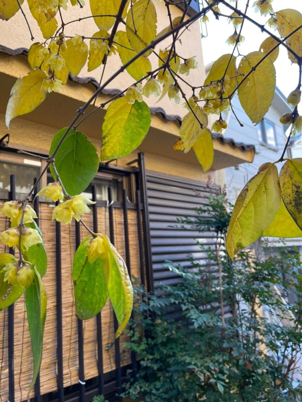 Annam - Whole Three Story House Osaka