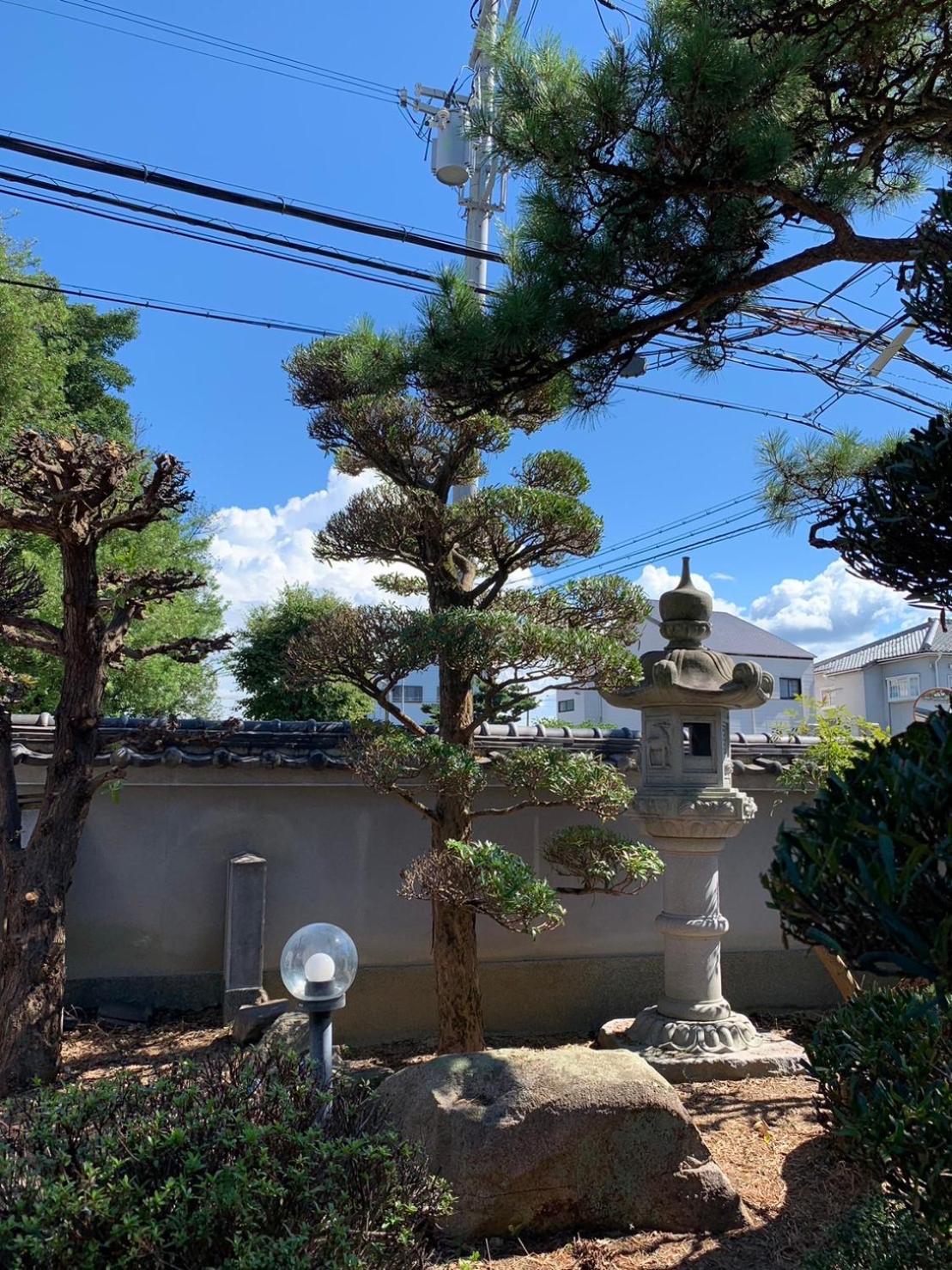 Villa 和風庭園豪邸
