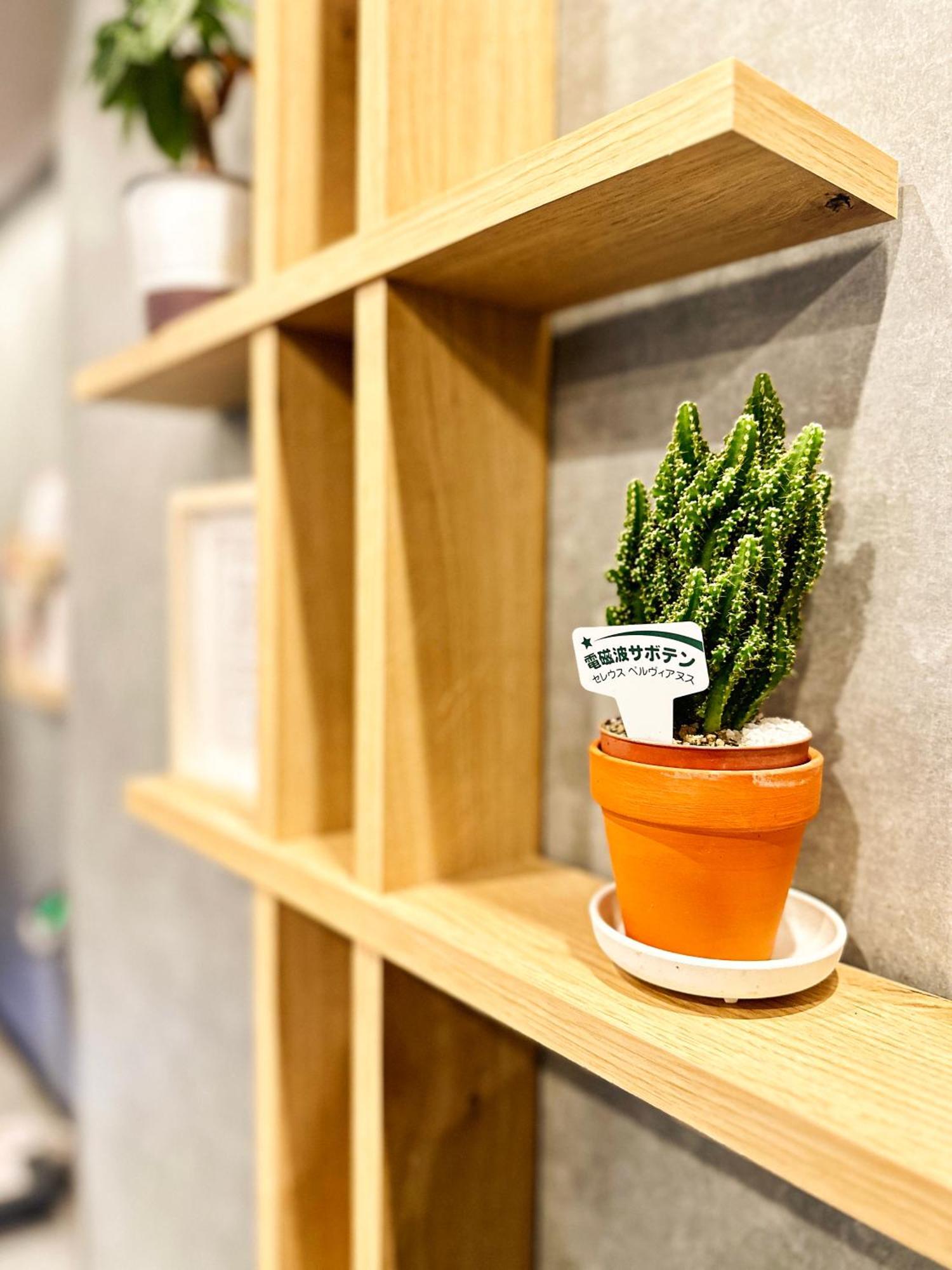 Hotel Ebisu 3*