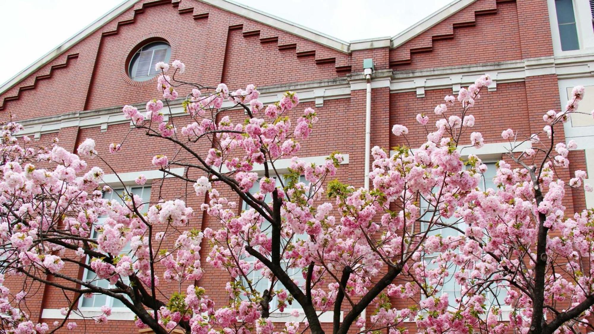 Hotel Toyoko Kyobashi Sakuranomiya