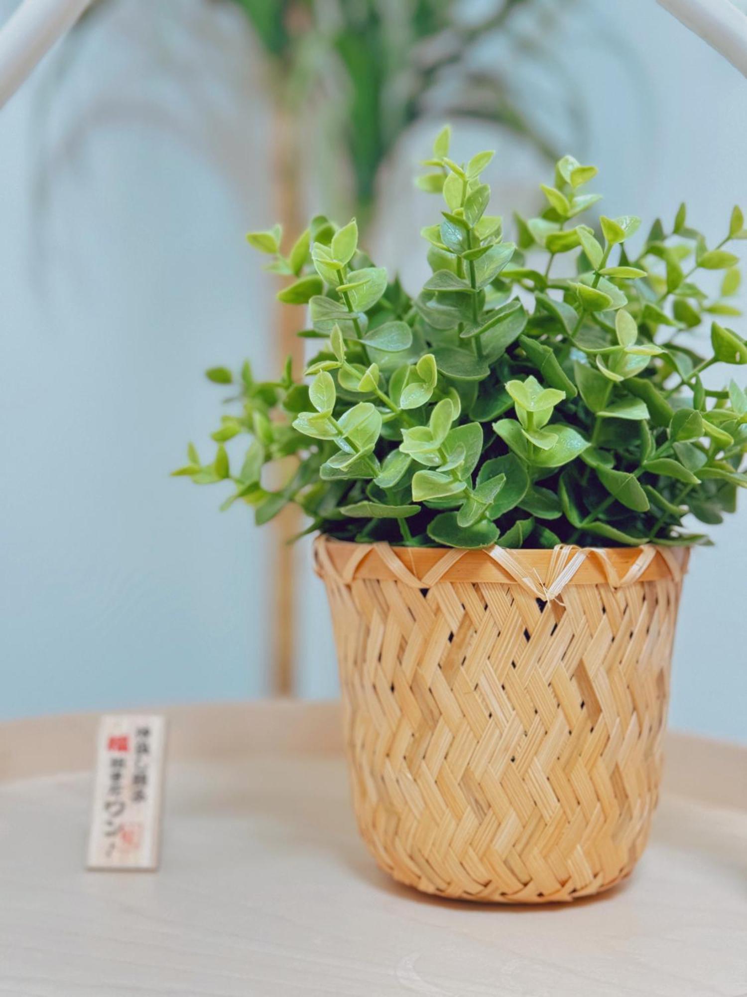 中央区独栋三室2卫一厅小楼供您使用，双地铁，车站徒步6分钟。满足您吃住行游购娱的各项选择 Villa