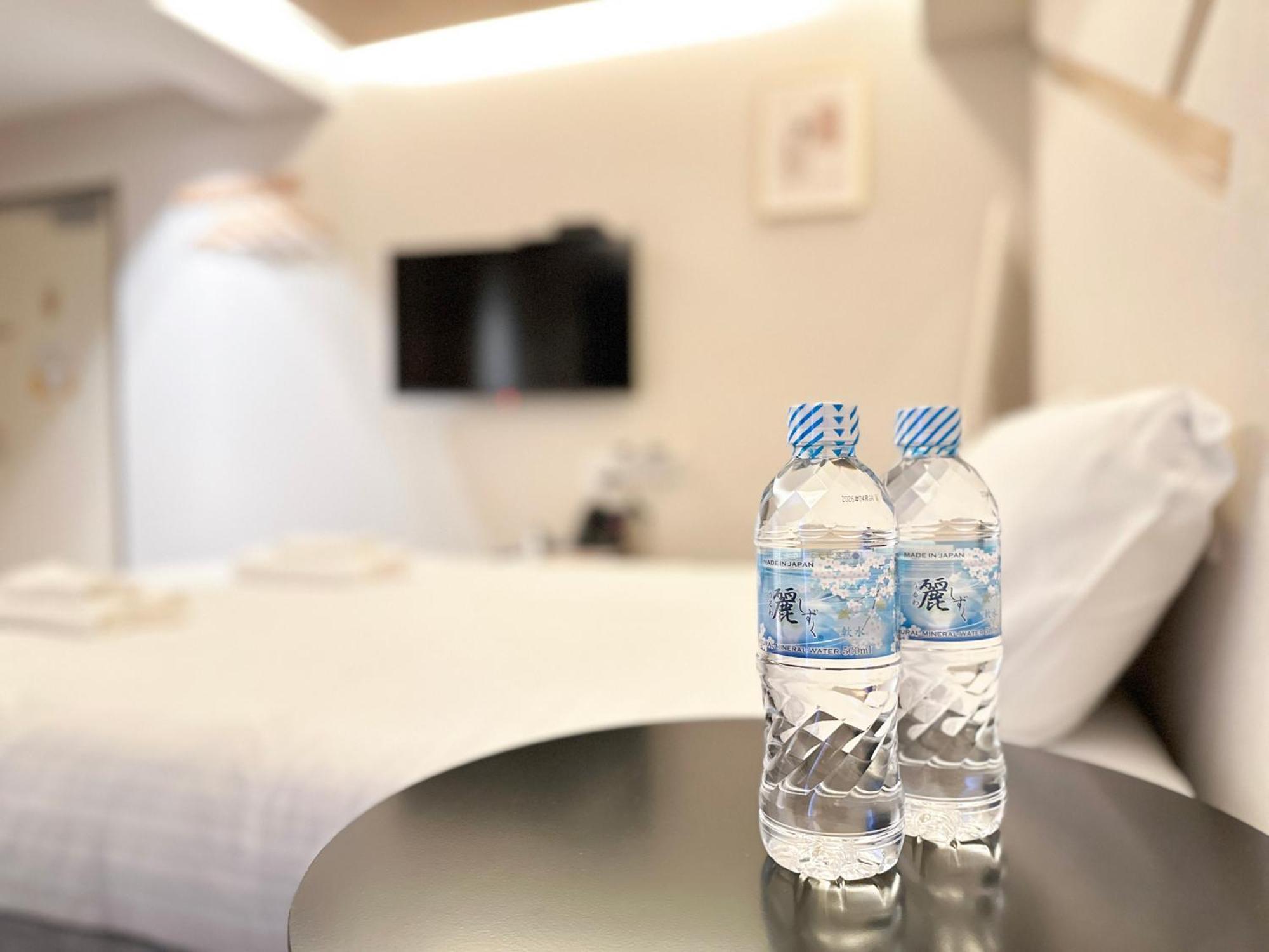 Hotel Ebisu 3*