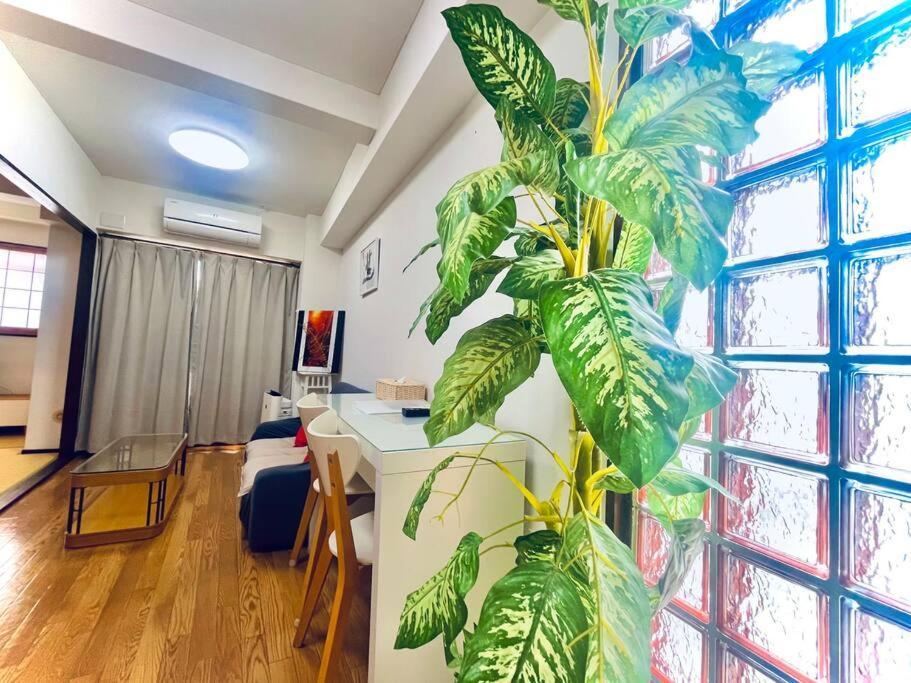 Apartment B701/大阪人气景点黑门市场步行6分钟，日本桥、难波、心斋桥、道顿堀步行可达 Osaka