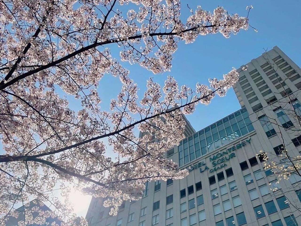 Monterey La Soeur Hotel Osaka