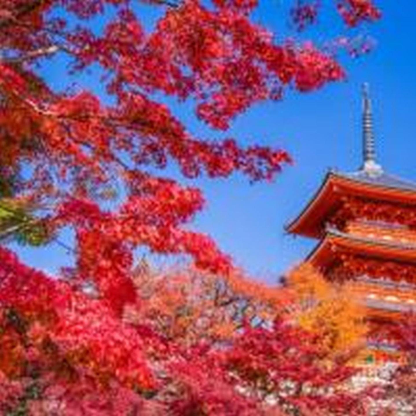 むつみ庵此花101