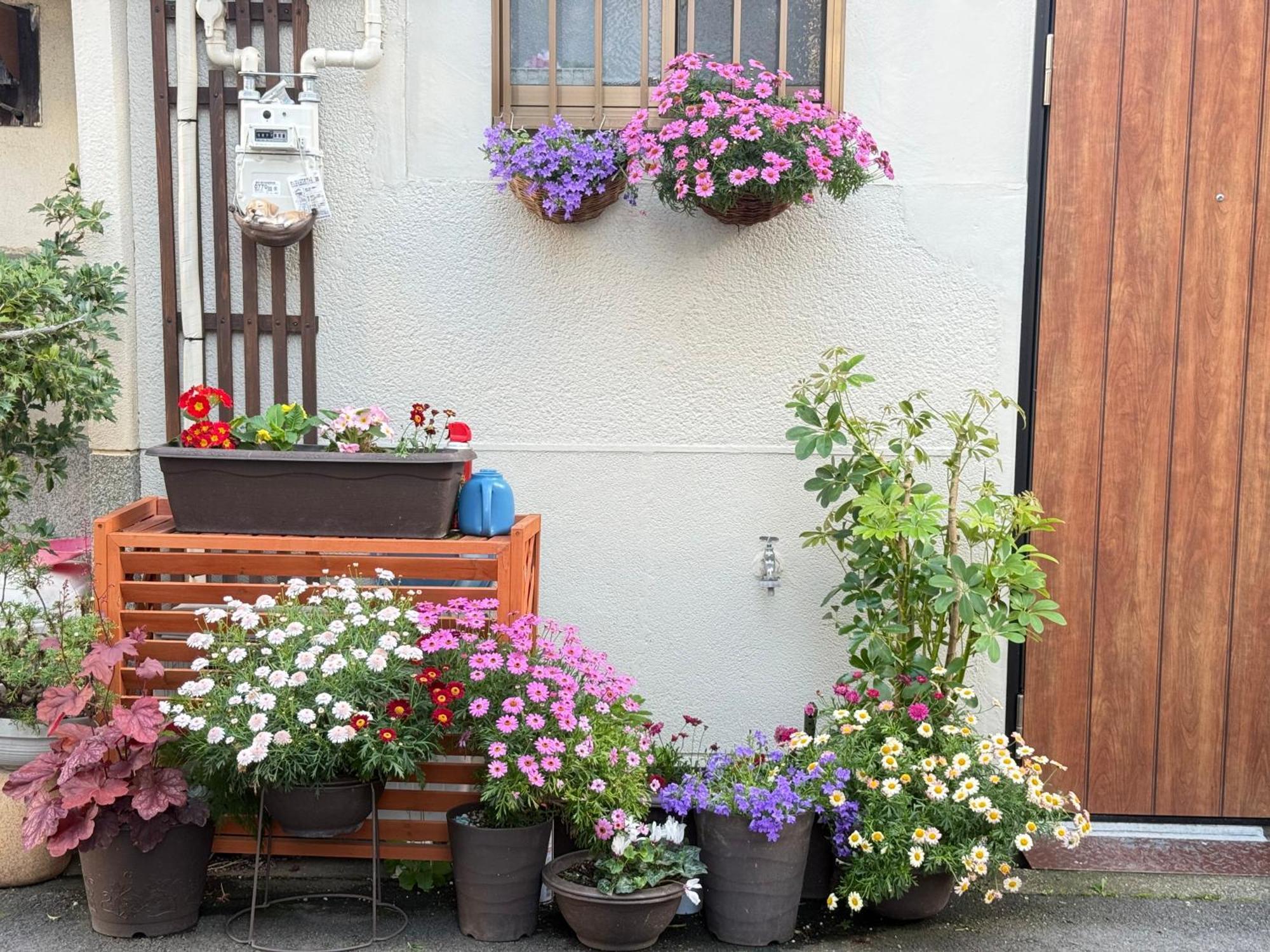 Namba Shinsaibashi 10 Mins Reiko Villa *