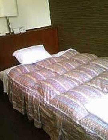 Hotel Shin 2*