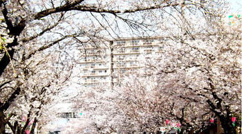 Terrace + House Bentencho *