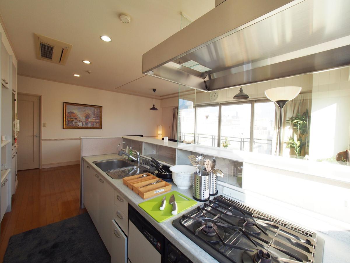 Apartment Supreme Downtown Penthouse In Namba *