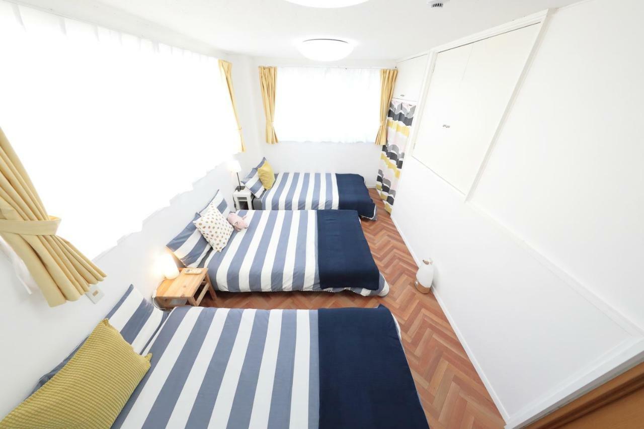 Vivid Zebra House *