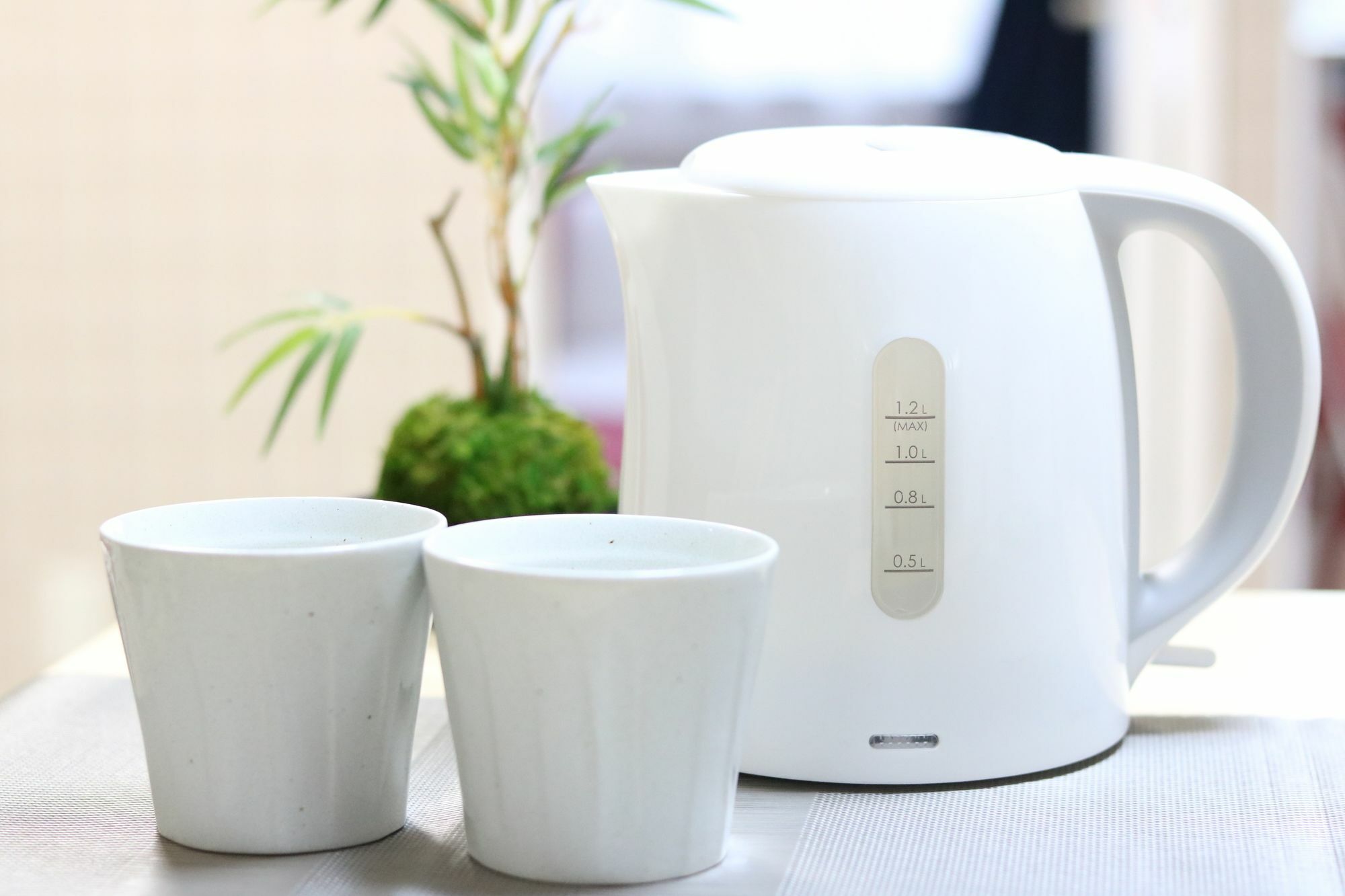 Hg Cozy No 18 島之内 Apartment Osaka