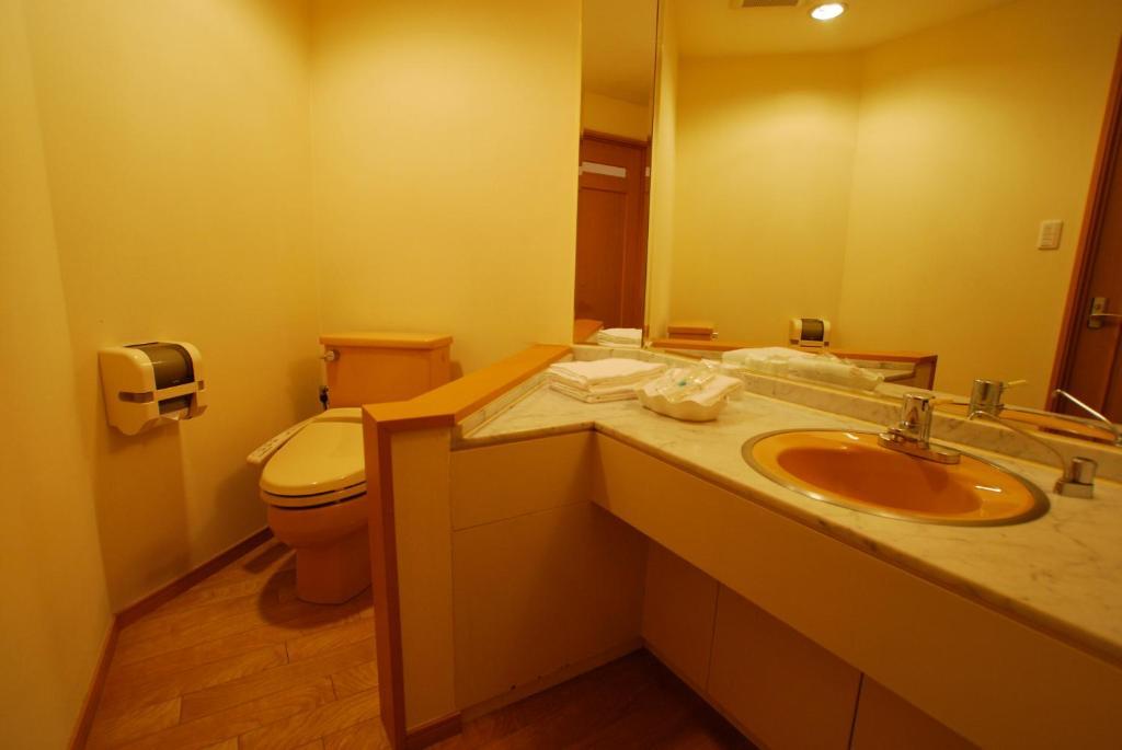 Economy hotel Le Botejour Nanba Osaka
