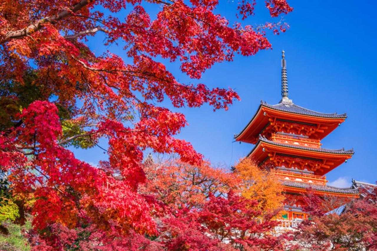 北巽サクラハウス一軒家 Sakura House Kitatatsumi 最大16名