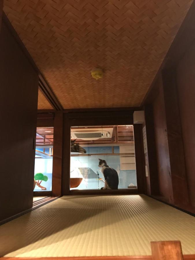 Hostel Cat & Cat By Neco Republic