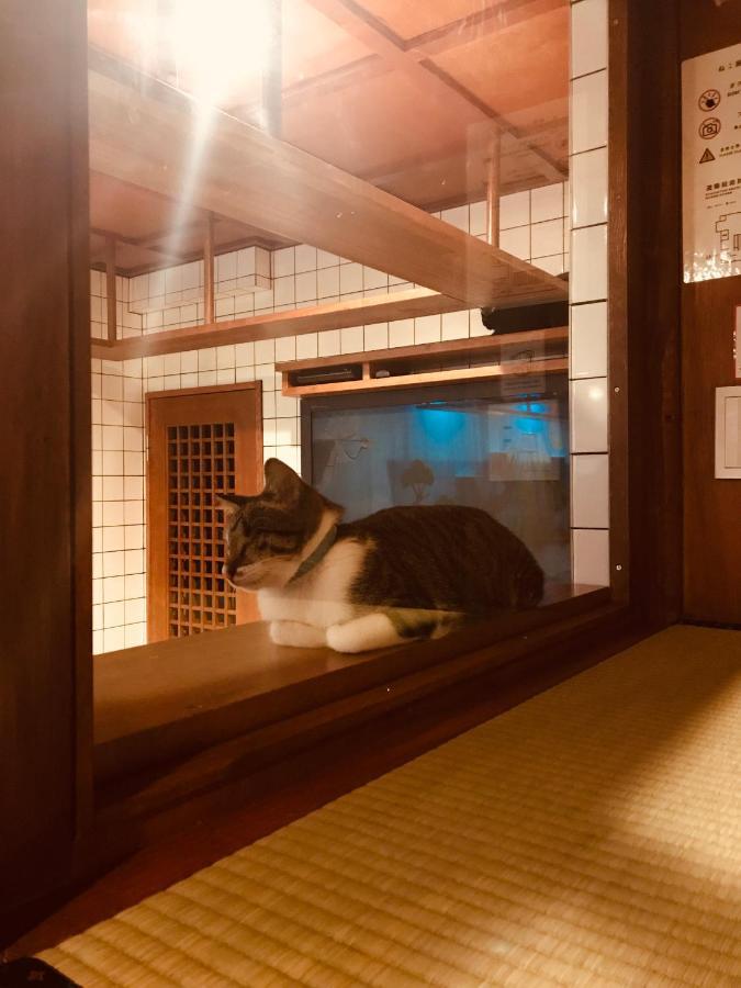 Cat & Cat By Neco Republic Hostel