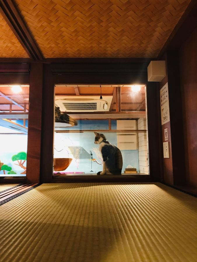 Cat & Cat By Neco Republic *