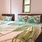 The Wonder At Stay-Bentencho-