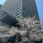 Hotel Monterey Grasmere Osaka