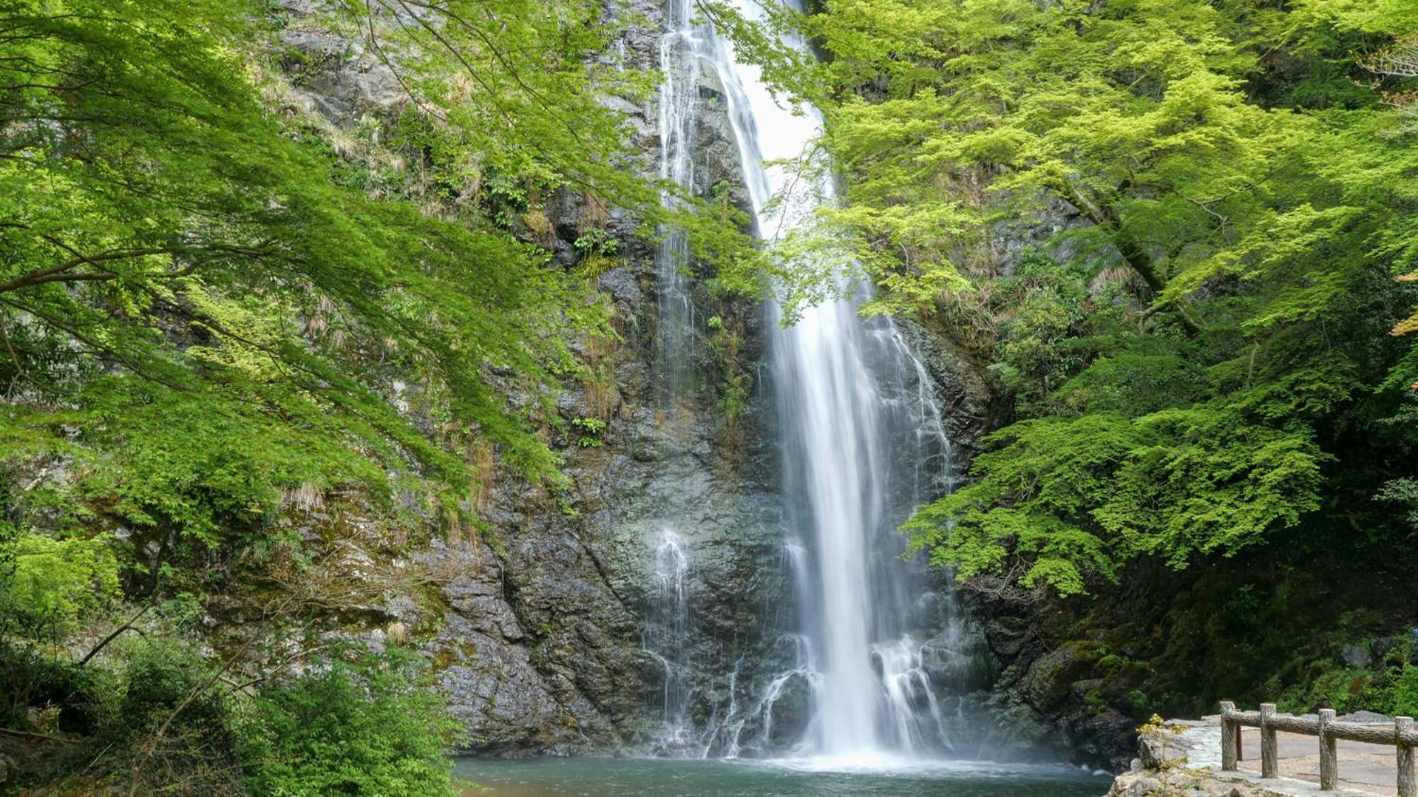 Toyoko Shin-osaka Higashi-mikuni Ekimae 3* Osaka