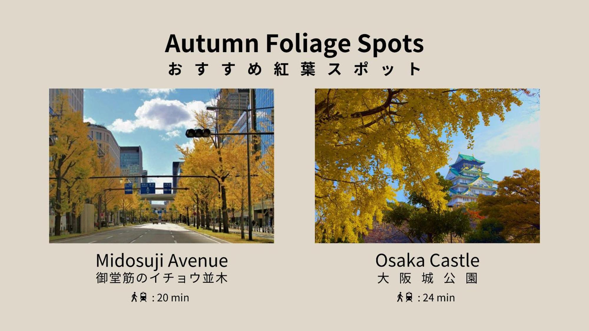 Nedoco West 3* Osaka