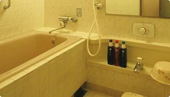 Hotel Shinsaibashi Lions Rock 3*