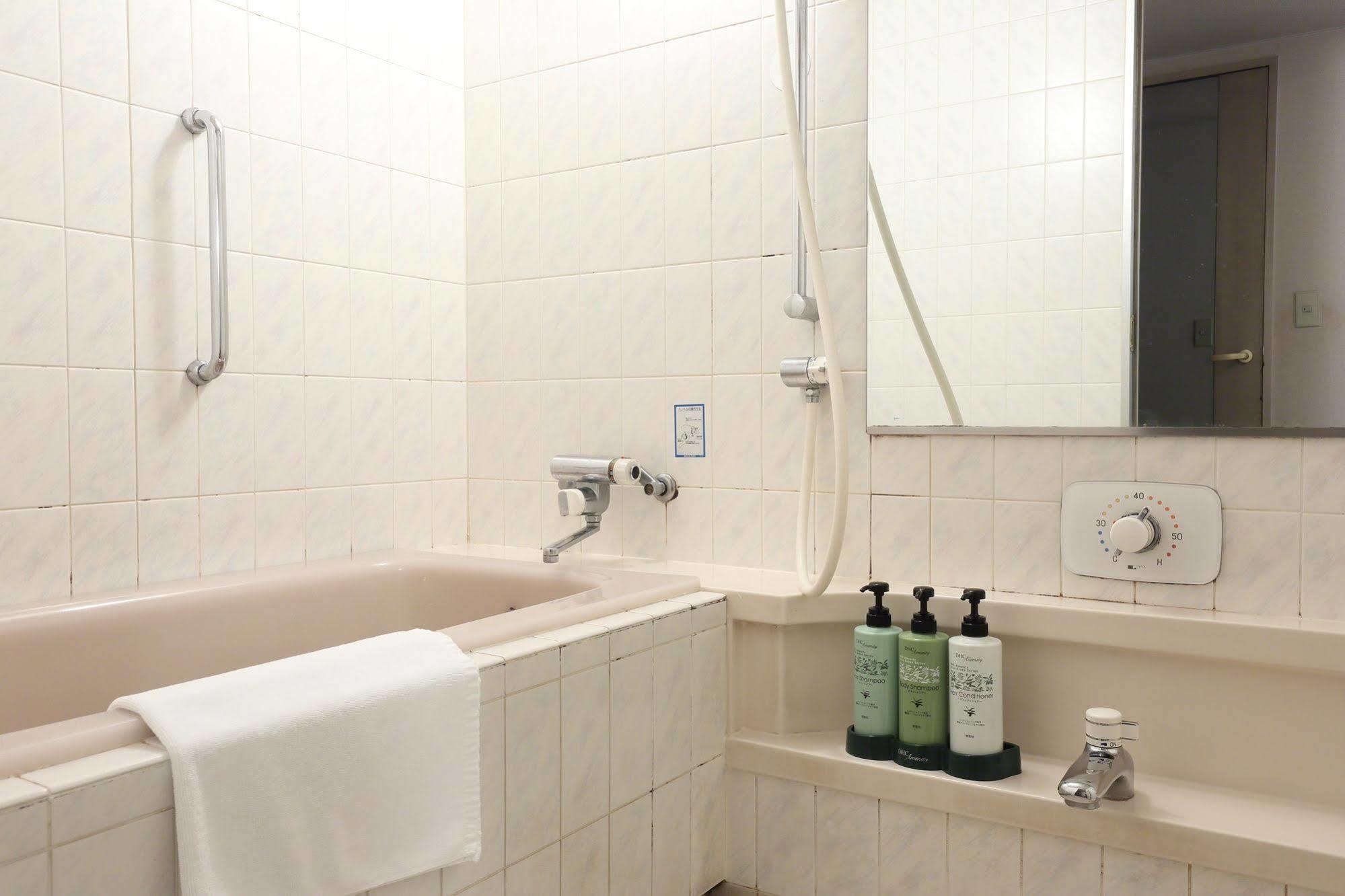 Hotel Shinsaibashi Lions Rock 3*
