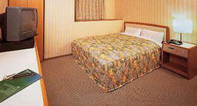 Hotel Business Nissei